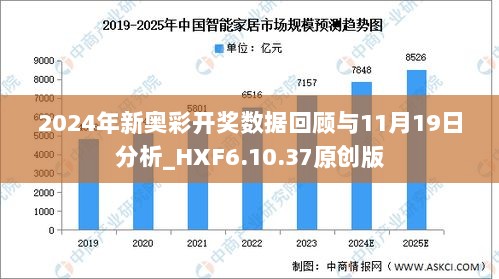 2024新奥历史开奖记录19期-精选解释解析落实